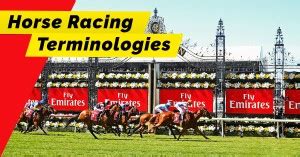 Horse Racing Terminology: A Beginner's Guide to .